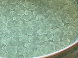 翠影冰纹洗细节1.jpg